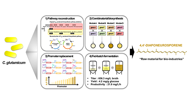 Incheon National University Professor Seo Myung-ji’s Research Team Achieves World-Class Production o 대표이미지